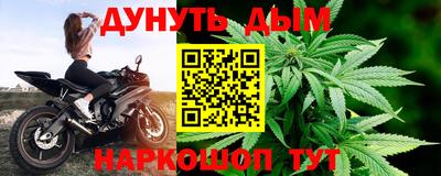 стаф Кингисепп