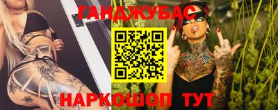 стаф Кингисепп