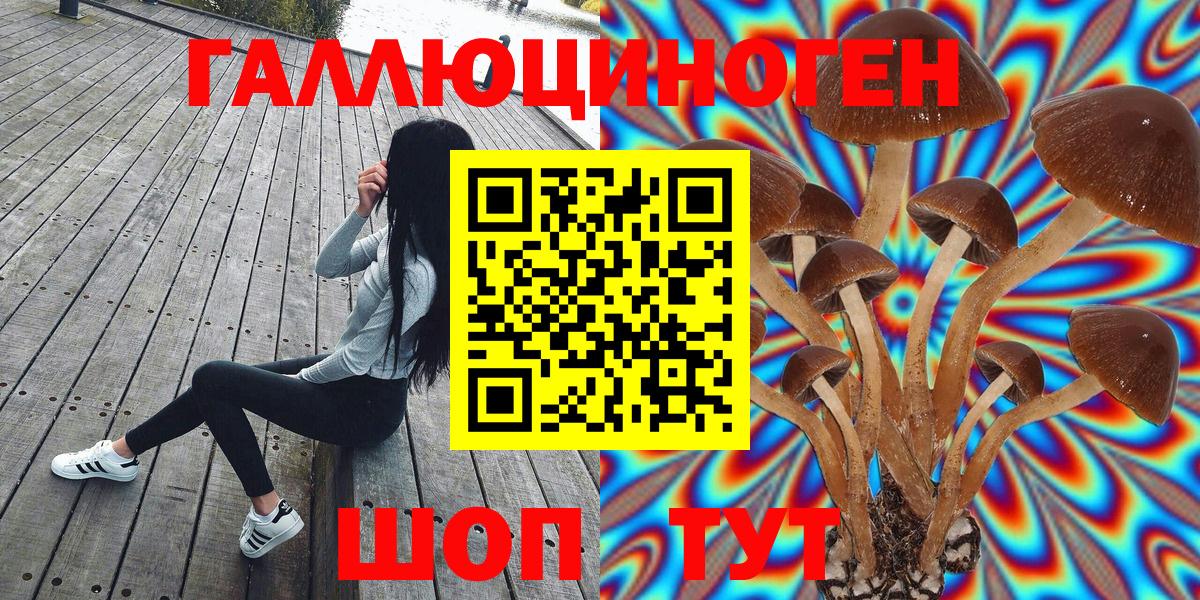 Галлюциногенные грибы Magic Shrooms  Вход с VPN  закладки  Коммунар 